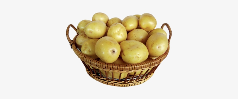 Parent Directory - Potato, transparent png download