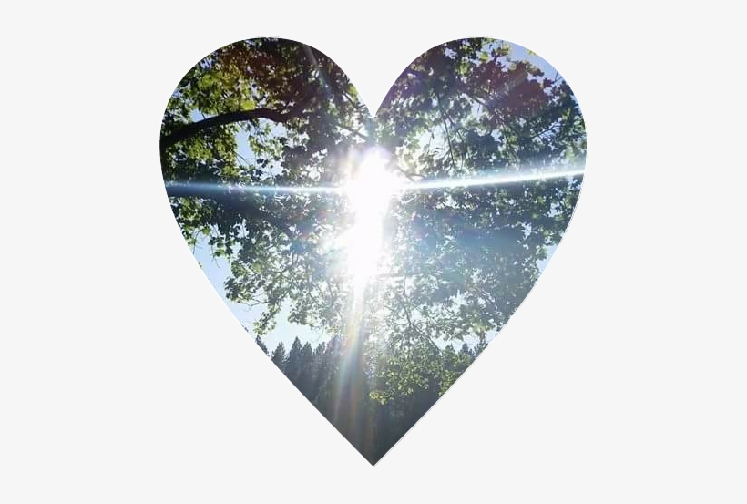 Heart, transparent png download