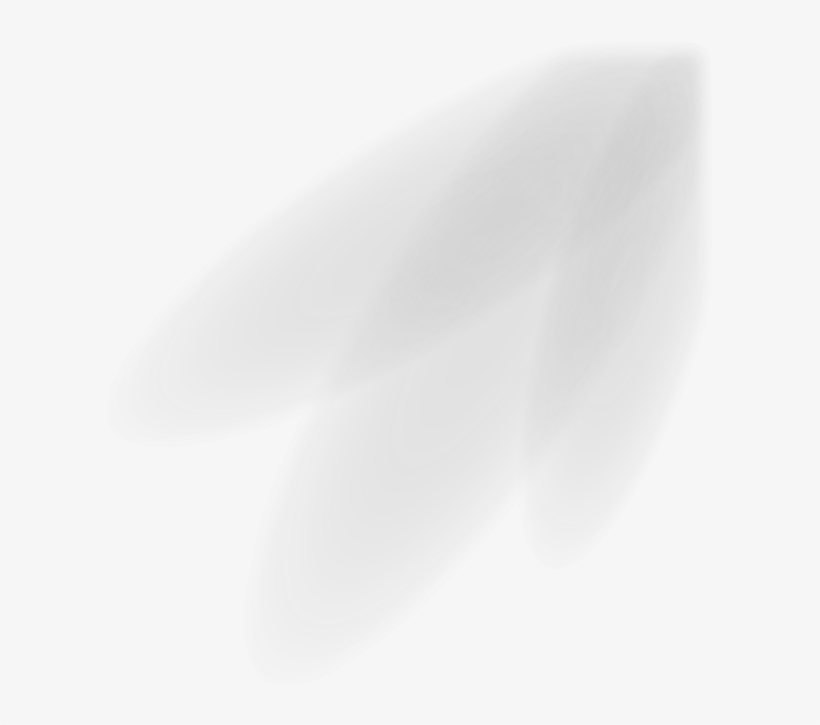 Welcome To El Carbonero - Skinny Stretch Denim Jeans, transparent png download