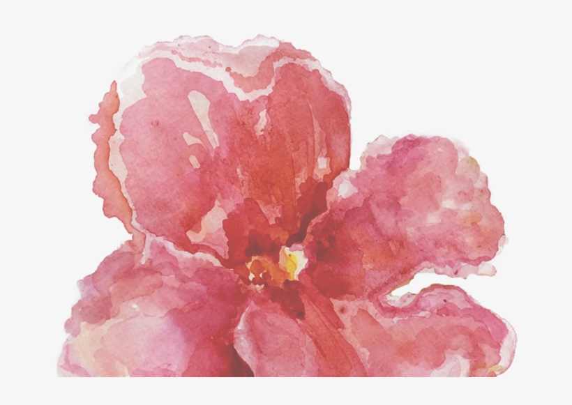 Flower, transparent png download
