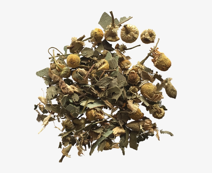 Ginger Mint Chamomile - Tea, transparent png download