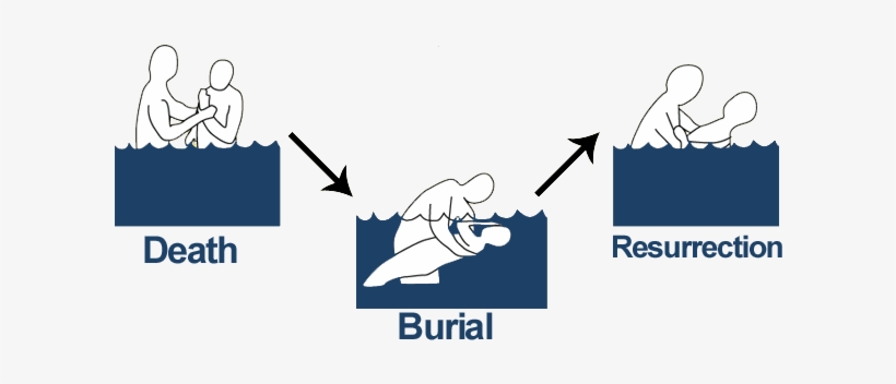 Baptism Pic - Baptism Meaning, transparent png download