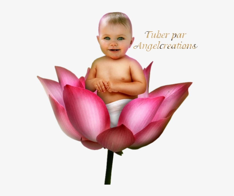 Tube Bébé Png - Afrikaans, transparent png download