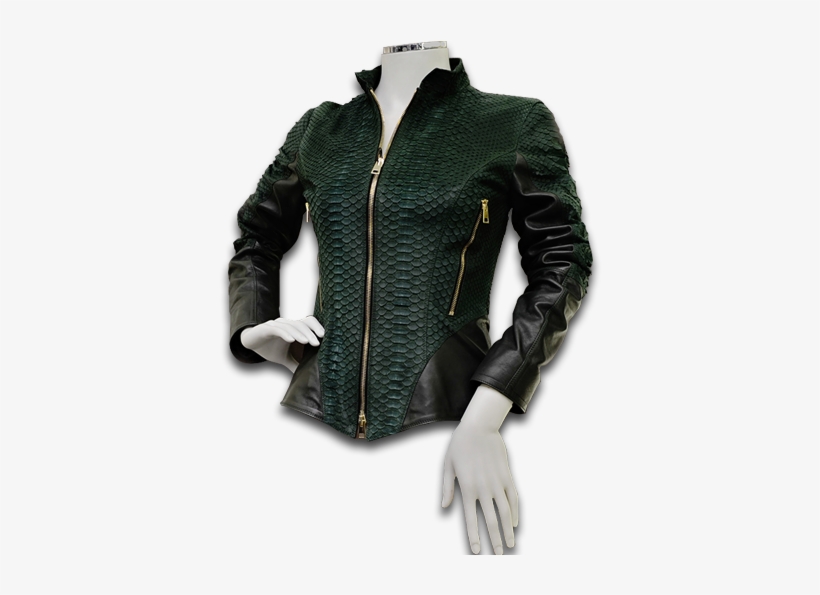 Our Leather Jacket Collection Includes Many Different - Leather Fancy Jacket, transparent png download
