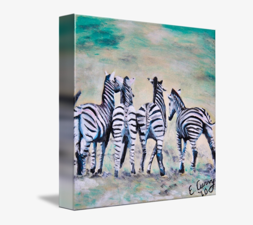 "four Little Zebras" By Evelyn Curry - Gallery-wrapped Canvas Art Print 11 X 11 Entitled Four, transparent png download