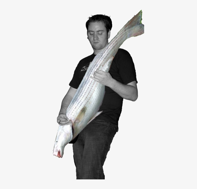 File - Bass-player - Bass Player Png, transparent png download