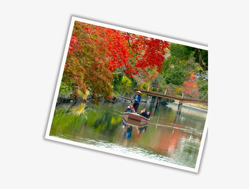Yanagawa, transparent png download