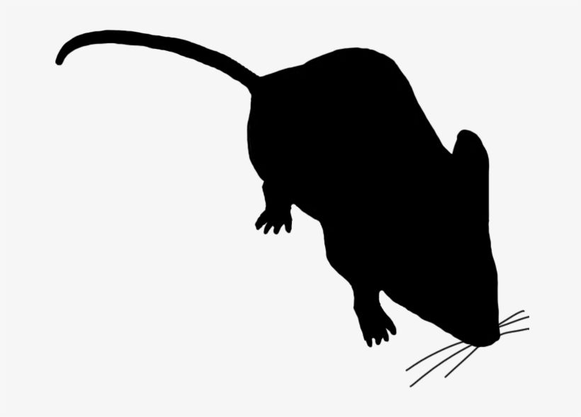 Little Mouse Sniffing Around - Mouse Silhouette Transparent Background, transparent png download