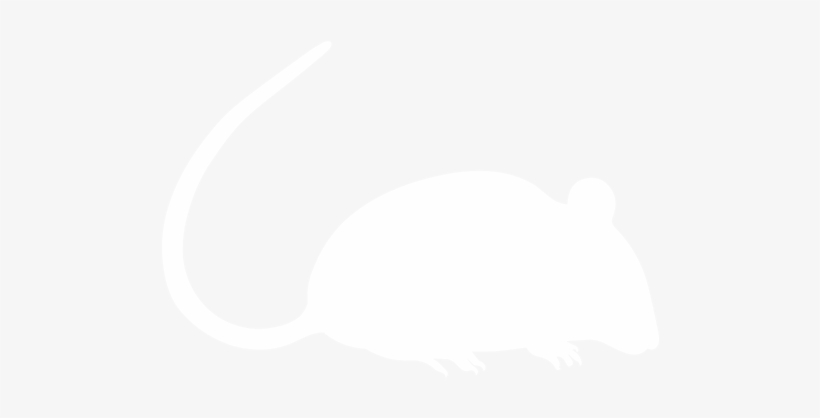 All Pests - Rat, transparent png download