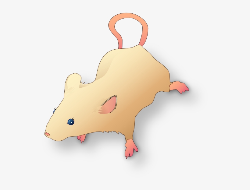 Mice Infestation Can Be Both Embarrassing And Frustrating - Thumbnail, transparent png download