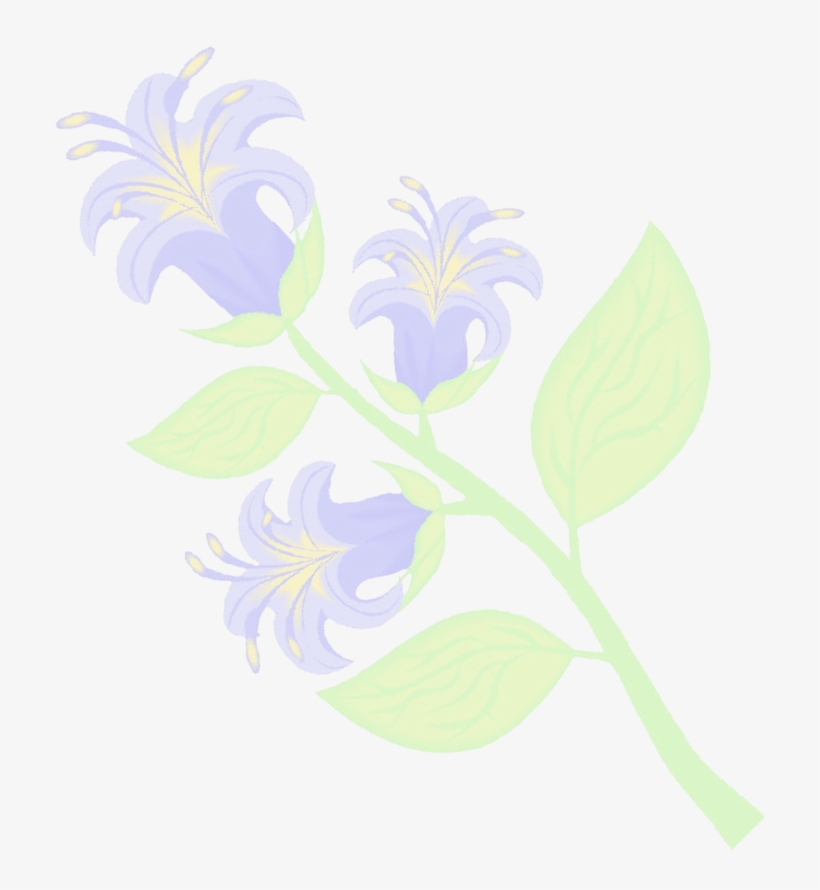 Reliable Cleaning Services 1414 Blue Spruce Drive, - Reproductor Masculino De Las Plantas, transparent png download