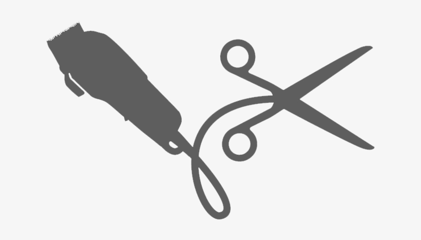 Barbet Clipart Barber Comb - Barber Shop, transparent png download