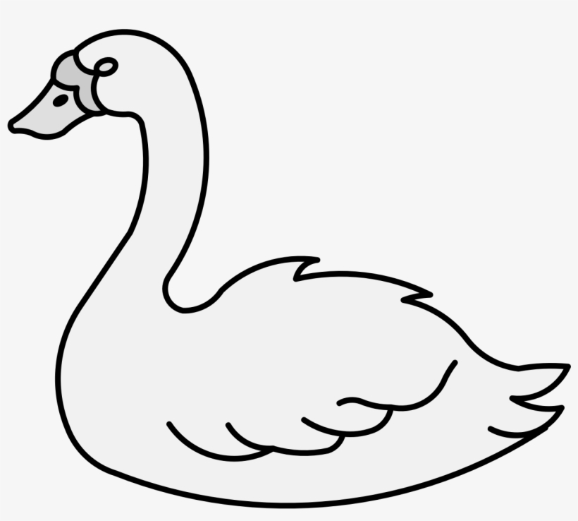 Details, Png - Duck, transparent png download