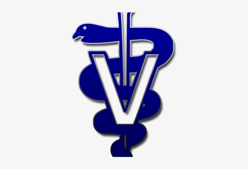 Silver Clipart Caduceus - Veterinary Medicine Logo Png, transparent png download