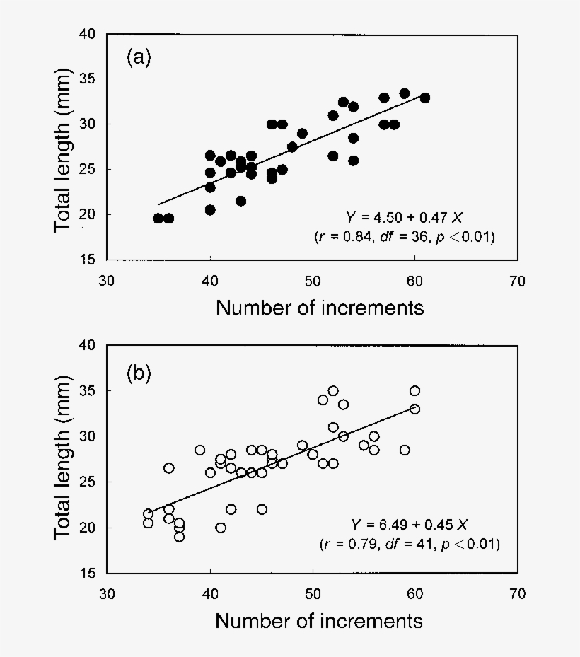 Relationship Between Total Length And Daily Age Of - Diagram, transparent png download
