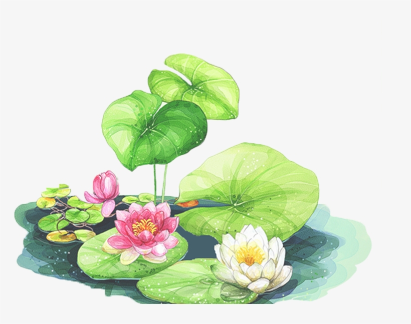 856 X 566 1 - Lotus Leaf Background Clipart, transparent png download
