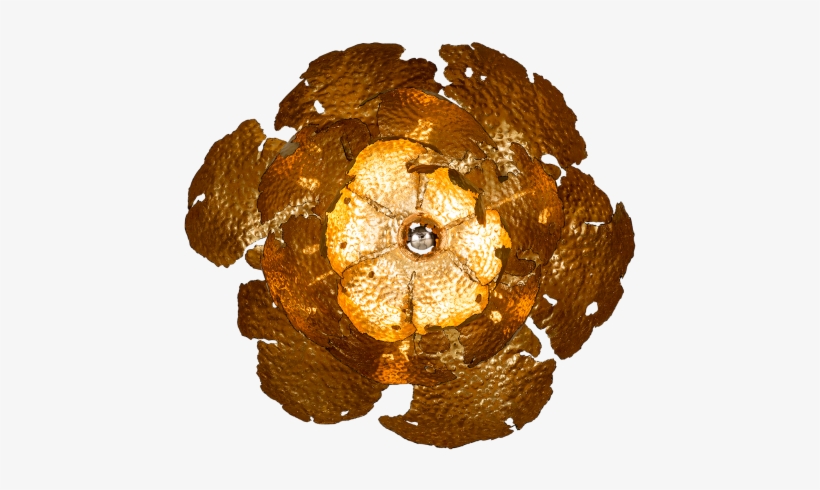 Amazonica Water Lily Small - Circle, transparent png download