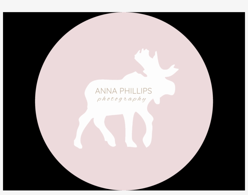 Elk, transparent png download