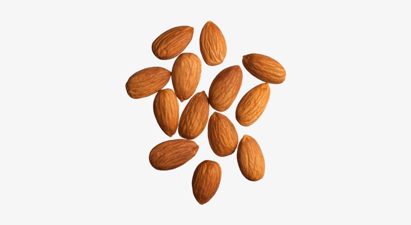 Almond Png, Download Png Image With Transparent Background, - Almonds Png, transparent png download