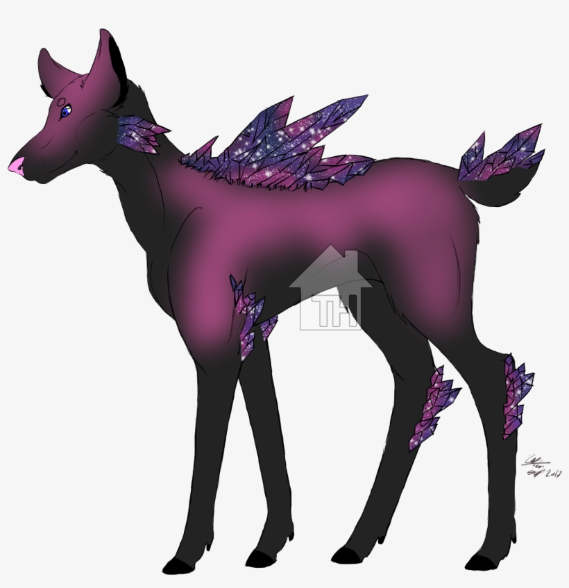 Recent Images - Foal, transparent png download