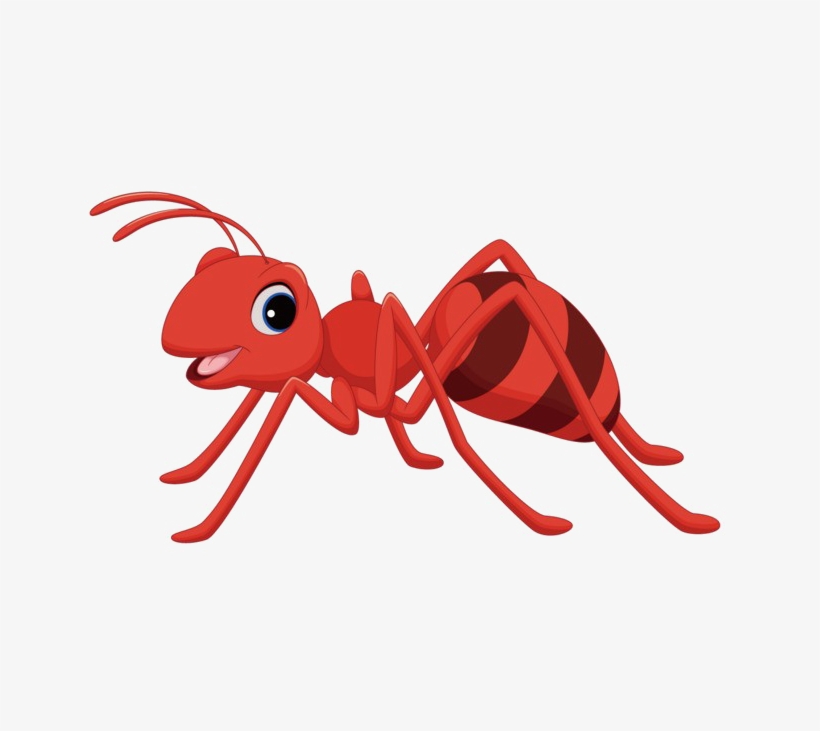 Ant Cartoon Png, transparent png download