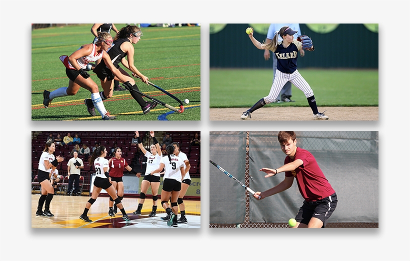 And Then Makes It Easy For You To Contact Them In A - Field Hockey, transparent png download