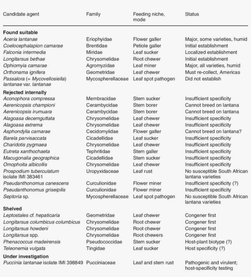 Development Of Biological Control Agents For Lantana - Document, transparent png download