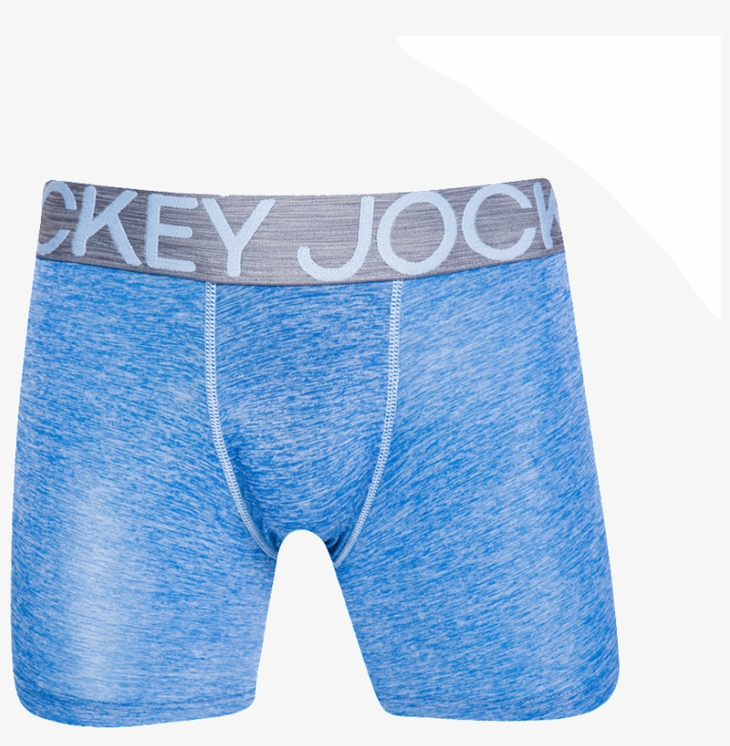 Single Microfibre Long Leg Trunk - Briefs, transparent png download