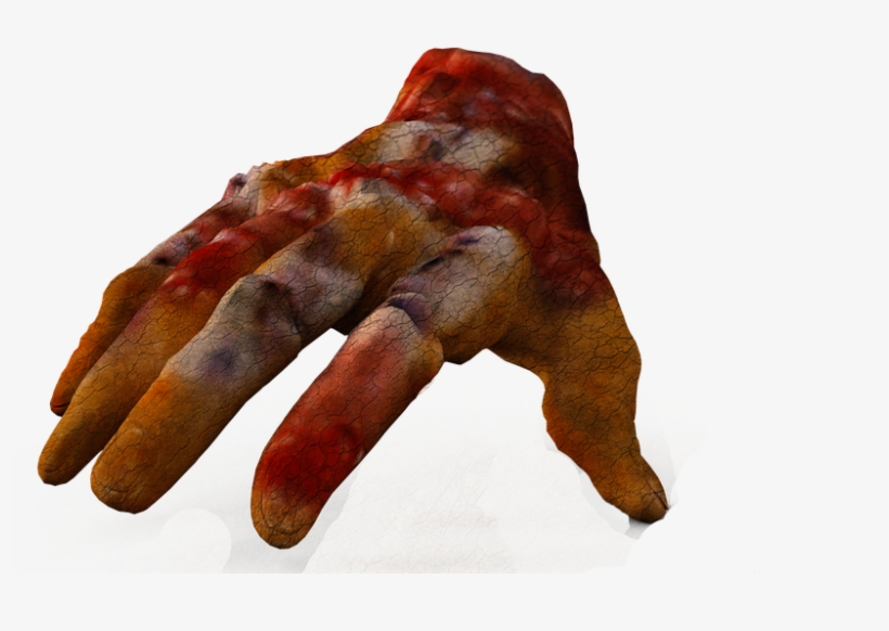 Main Zombie Png - Marine Invertebrates, transparent png download