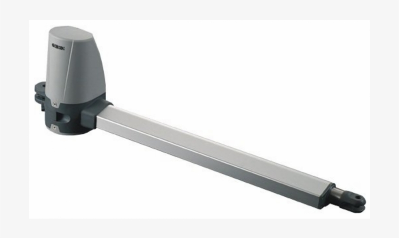 Kuda Gibidi, transparent png download