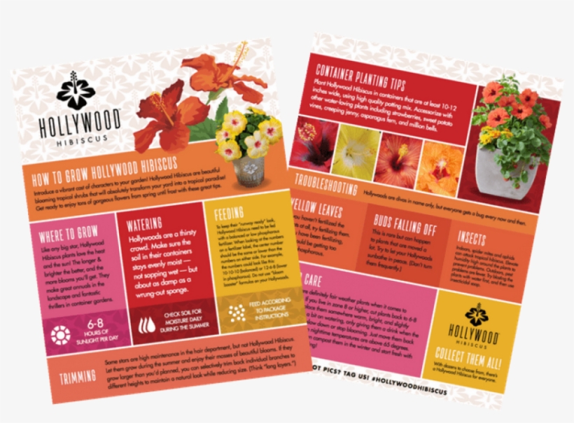 Free Png Download Email Png Images Background Png Images - Flyer, transparent png download