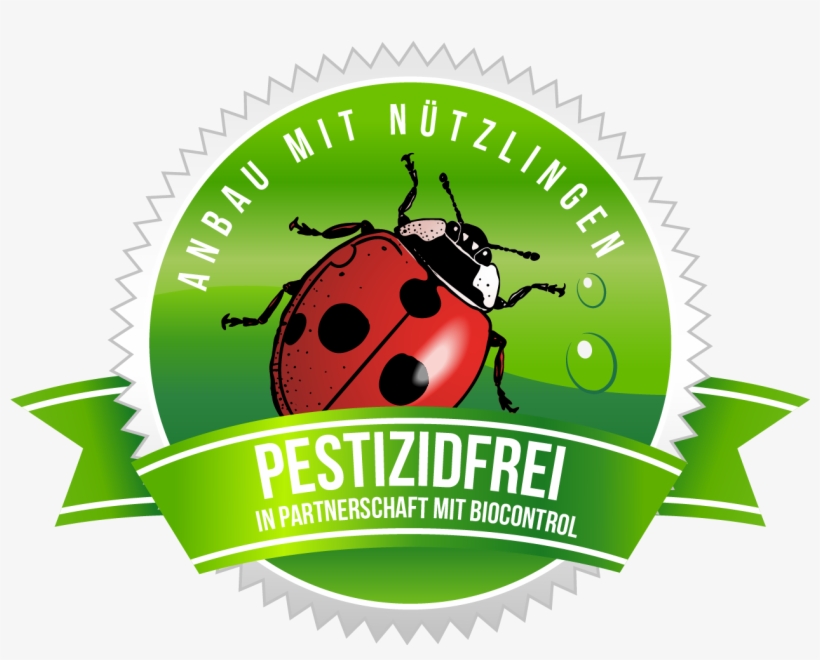 Swiss Weeds Gold - 18 Month Warranty, transparent png download