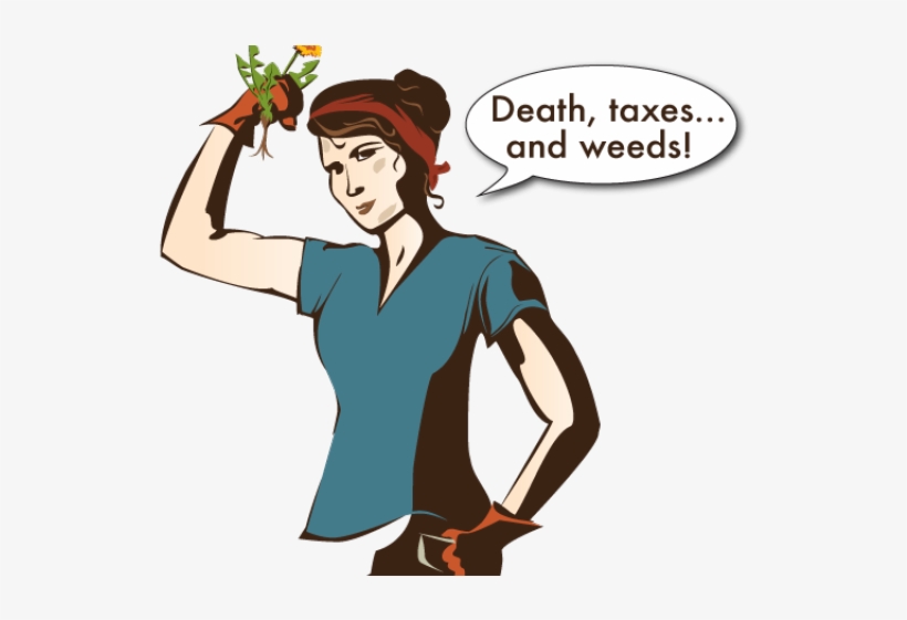 Weed Clipart Lady Gardener - Cartoon, transparent png download