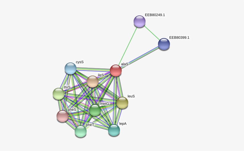 Alas Protein - Circle, transparent png download