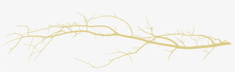 Divider Branch Light 1692×454 - Branch Divider Png, transparent png download