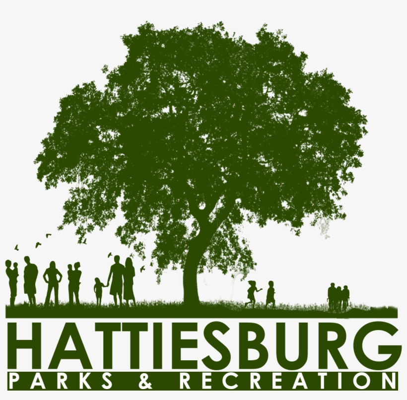 Elm Tree Vector Free, transparent png download