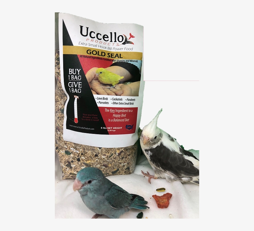 Extra Small Hooked Bill Power Food -gold Seal - Finch, transparent png download