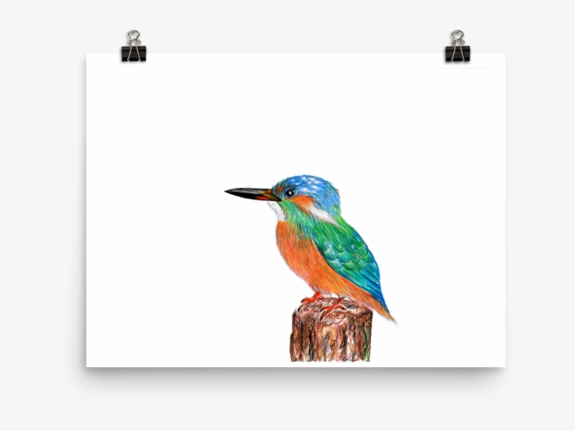 Image Of 'kingfisher' - Bee Eater, transparent png download