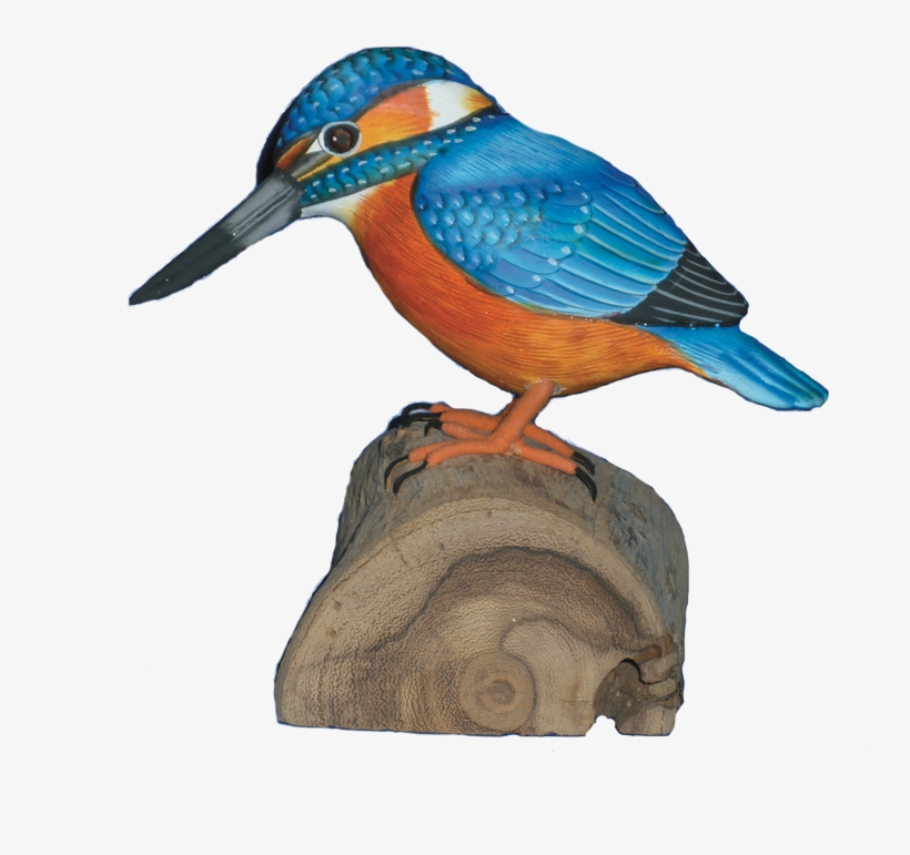 Log In To Your Account - Belted Kingfisher, transparent png download