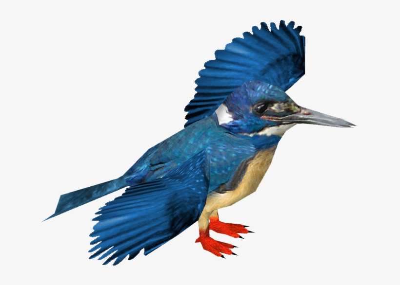Half-collared Kingfisher - Belted Kingfisher, transparent png download