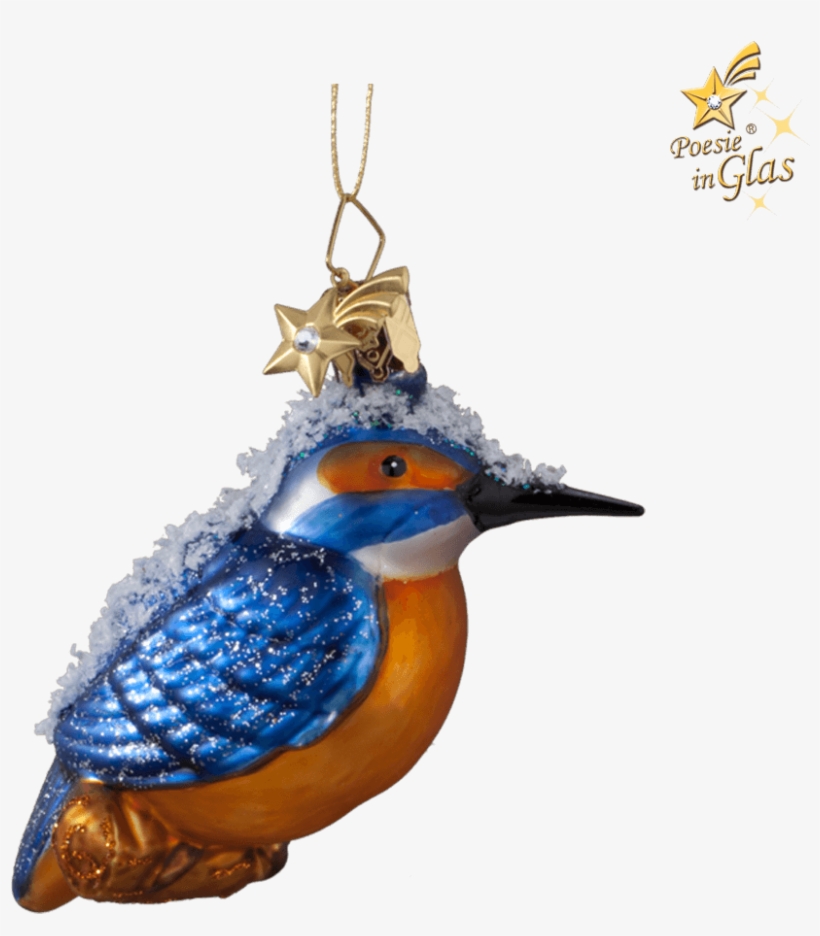 Kingfisher - European Swallow, transparent png download