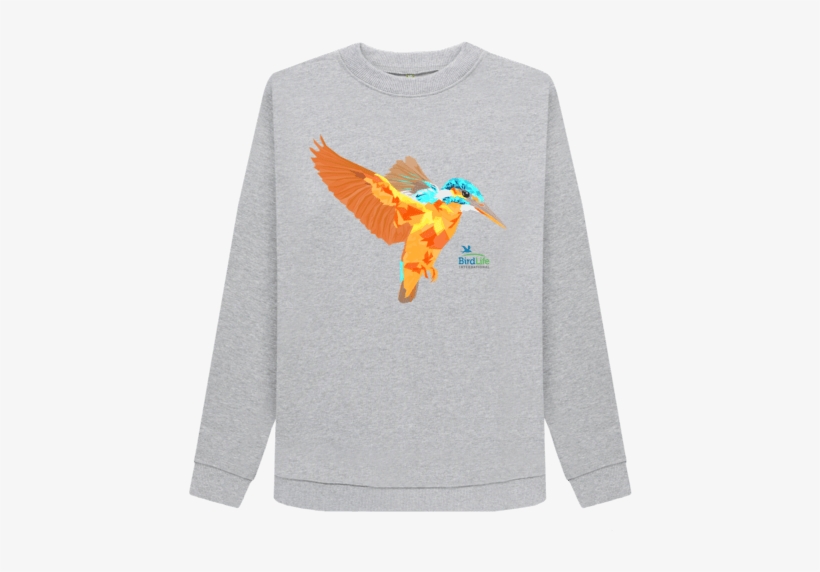 Kingfisher Jumper - Sweater, transparent png download