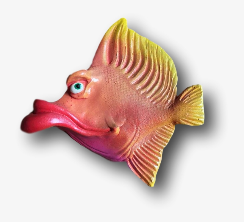 Coral Reef Fish, transparent png download