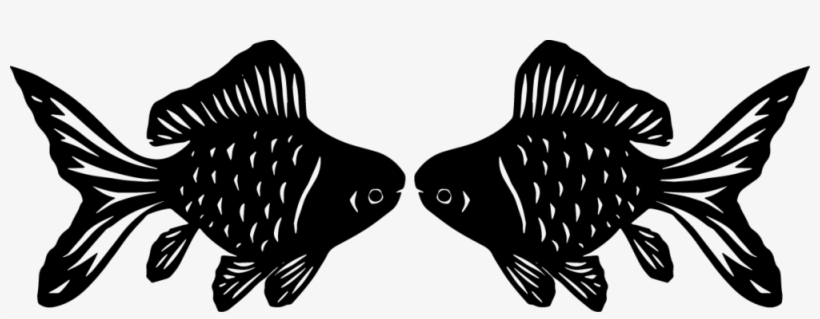 Fish, transparent png download