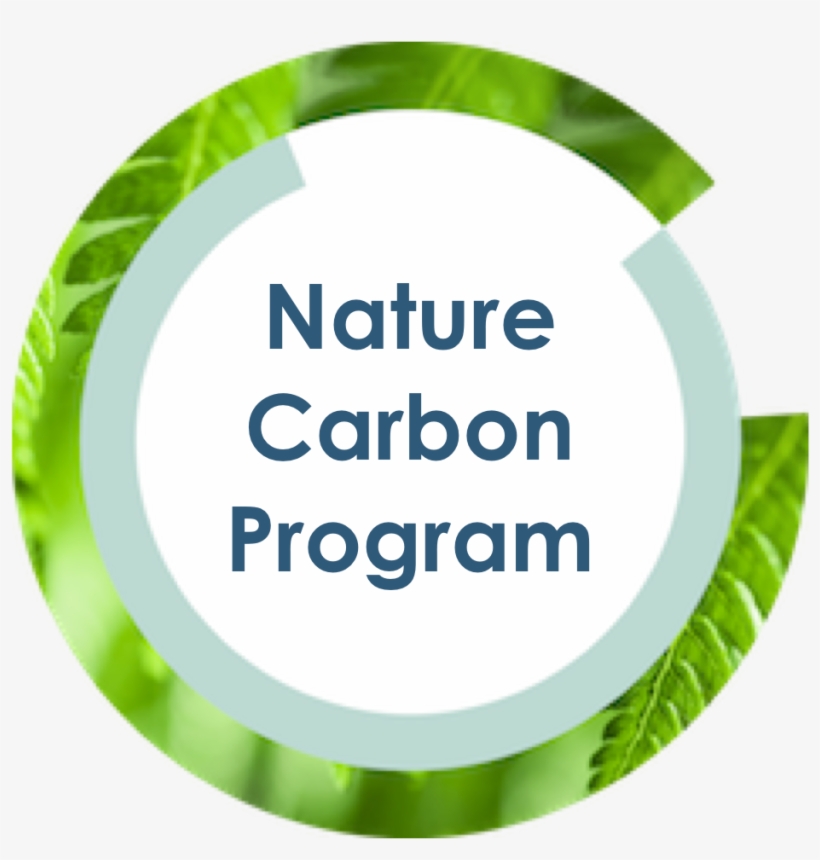 Nature Carbon Program - Ucl Integrated Engineering Programme, transparent png download