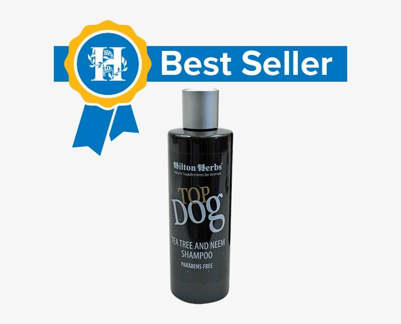 Amc Coupons 2011 Transparent PNG - 600x600 - Free Download on NicePNG