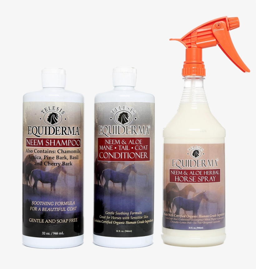 An Error Occurred - Lotion, transparent png download