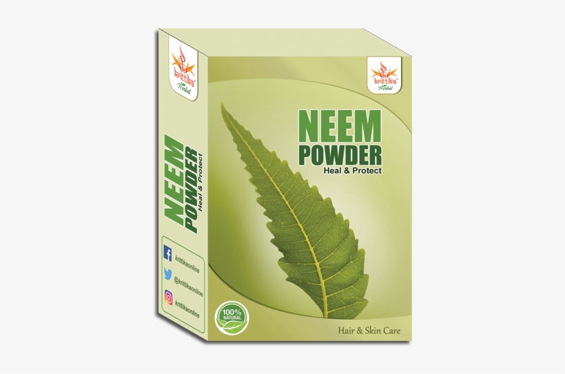 Reviews - Ostrich Fern, transparent png download