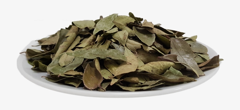 Organic Curry Leafs - Scrap, transparent png download