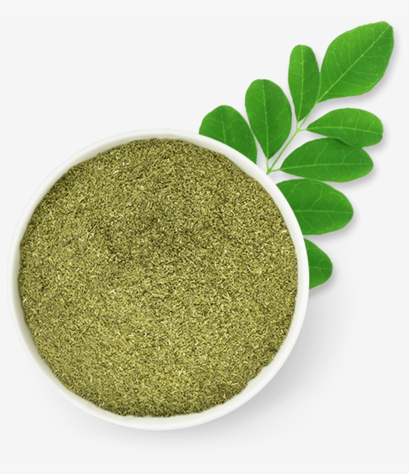 Curry Leaves - Circle, transparent png download